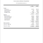 Free Non Profit Financial Statement Template Excel Within Non Profit Financial Statement Template Excel For Free