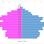 Free Pyramid Chart Excel Template For Pyramid Chart Excel Template Samples