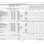 Letter Of Grant Budget Template Excel Intended For Grant Budget Template Excel In Workshhet