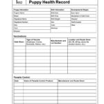 Letters Of Pet Health Record Template Excel With Pet Health Record Template Excel For Personal Use