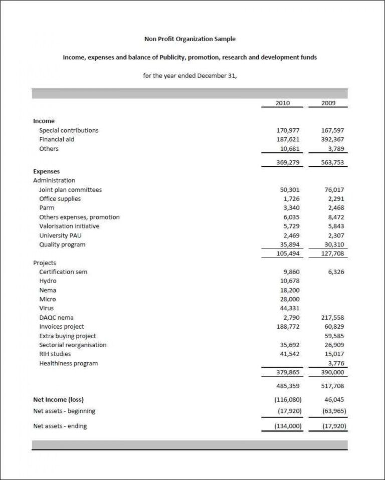 Non Profit Financial Statement Template Excel —