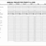 Personal Profit And Loss Projection Template Excel With Profit And Loss Projection Template Excel For Free