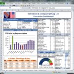 Printable Excel Reports Examples And Excel Reports Examples Template