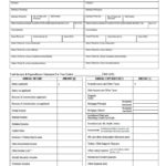Printable Personal Financial Statement Template Excel Throughout Personal Financial Statement Template Excel Template