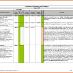 Printable Project Report Format In Excel And Project Report Format In Excel Xls