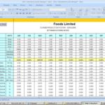 Printable Time Off Accrual Spreadsheet And Time Off Accrual Spreadsheet Free Download