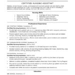 Sample Of Excellent Resume Example With Excellent Resume Example Sheet