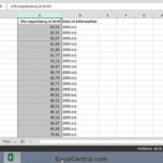 Samples Of Add Worksheet In Excel With Add Worksheet In Excel For Google Sheet