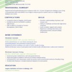 Samples Of Examples Of Excellent Resumes 2017 Within Examples Of Excellent Resumes 2017 Sheet