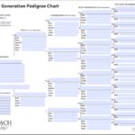 Samples Of Excel Genealogy Template In Excel Genealogy Template Document