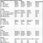 Samples Of Westside Barbell Program Spreadsheet For Westside Barbell Program Spreadsheet In Excel