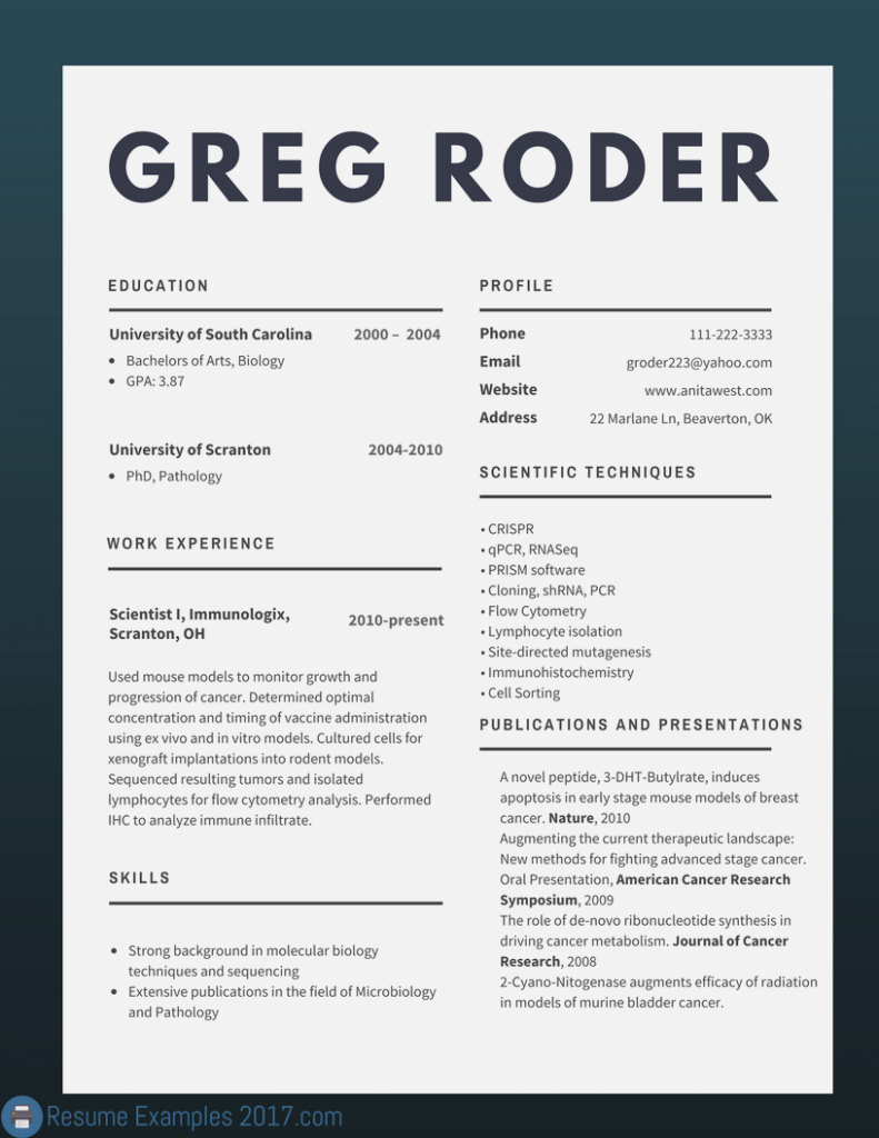 Template for Examples Of Excellent Resumes 2017 throughout Examples Of Excellent Resumes 2017 xls