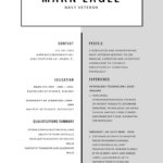 Template For Examples Of Excellent Resumes 2017 To Examples Of Excellent Resumes 2017 In Excel