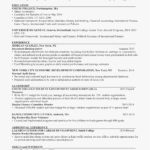 Template For Excel Resume Template Inside Excel Resume Template Examples
