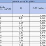 Template For Headcount Forecasting Template Excel Within Headcount Forecasting Template Excel In Excel