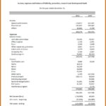 Template For Non Profit Financial Statement Template Excel Within Non Profit Financial Statement Template Excel In Excel