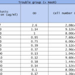Template For Pareto Chart Excel Template In Pareto Chart Excel Template For Google Sheet