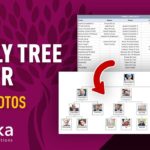 Templates For 5 Generation Family Tree Template Excel For 5 Generation Family Tree Template Excel Letters