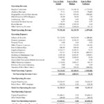 Templates For Church Financial Statement Template Excel In Church Financial Statement Template Excel Form