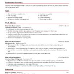 Templates For Excellent Resume Example Within Excellent Resume Example Form