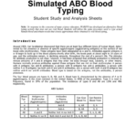 Abo And Rh Blood Typing Also Abo Rh Simulated Blood Typing Worksheet Answers