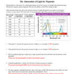 Accbiochlorophyllabwskey Intended For The Absorption Of Light By Photosynthetic Pigments Worksheet Answers