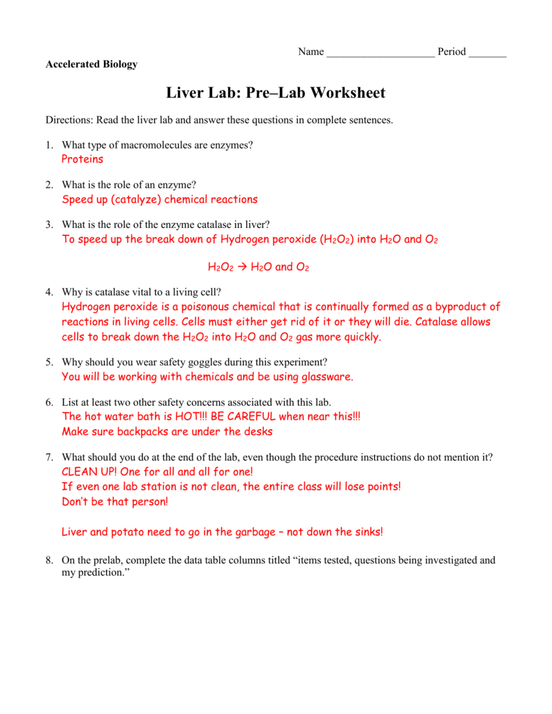Accbioliverlabkey Also Pre Lab Activity Worksheet Answers