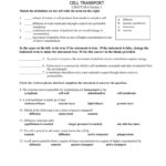 Active And Passive Transport Worksheet Answers  Yooob Along With Cell Transport Review Worksheet Answers