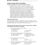 Active Reading Regarding Science 10 Worksheet 3 Energy Flow In Ecosystems Answer Key