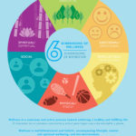 Agc's Wellness Wheel Free To Print And Share  The Academy For And Wellness Wheel Worksheet