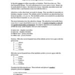 Agreement Of Adjectives Spanish Worksheet Answers 108625 Worksheet In Spanish Worksheet Answers