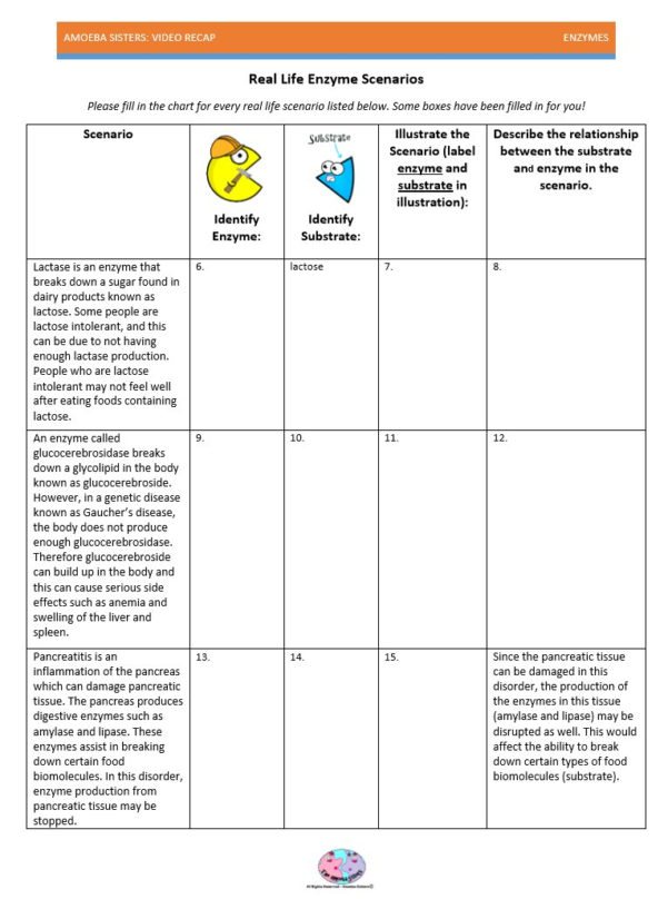 amoeba-sisters-video-recap-biomolecules-worksheet-answers-excelguider