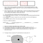 An Introduction To Diffusion And Osmosis Regarding Science 8 Diffusion And Osmosis Worksheet Answers