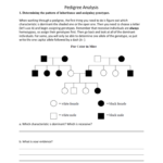 Analyzing Pedigrees Worksheet Together With Pedigree Analysis Worksheet Answers