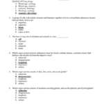 Anatomy And Physiology Unit 1 Review Sheet Chapter 1 Name Or Anatomy And Physiology Worksheets