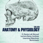 Anatomy  Physiology 20192020  Higher Education Intended For College Anatomy Worksheets