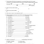 Anatomy  Physiology  Moore Public Schools And Anatomy And Physiology Worksheets