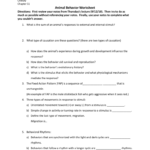Animal Behavior Worksheet Throughout Animal Behavior Worksheet