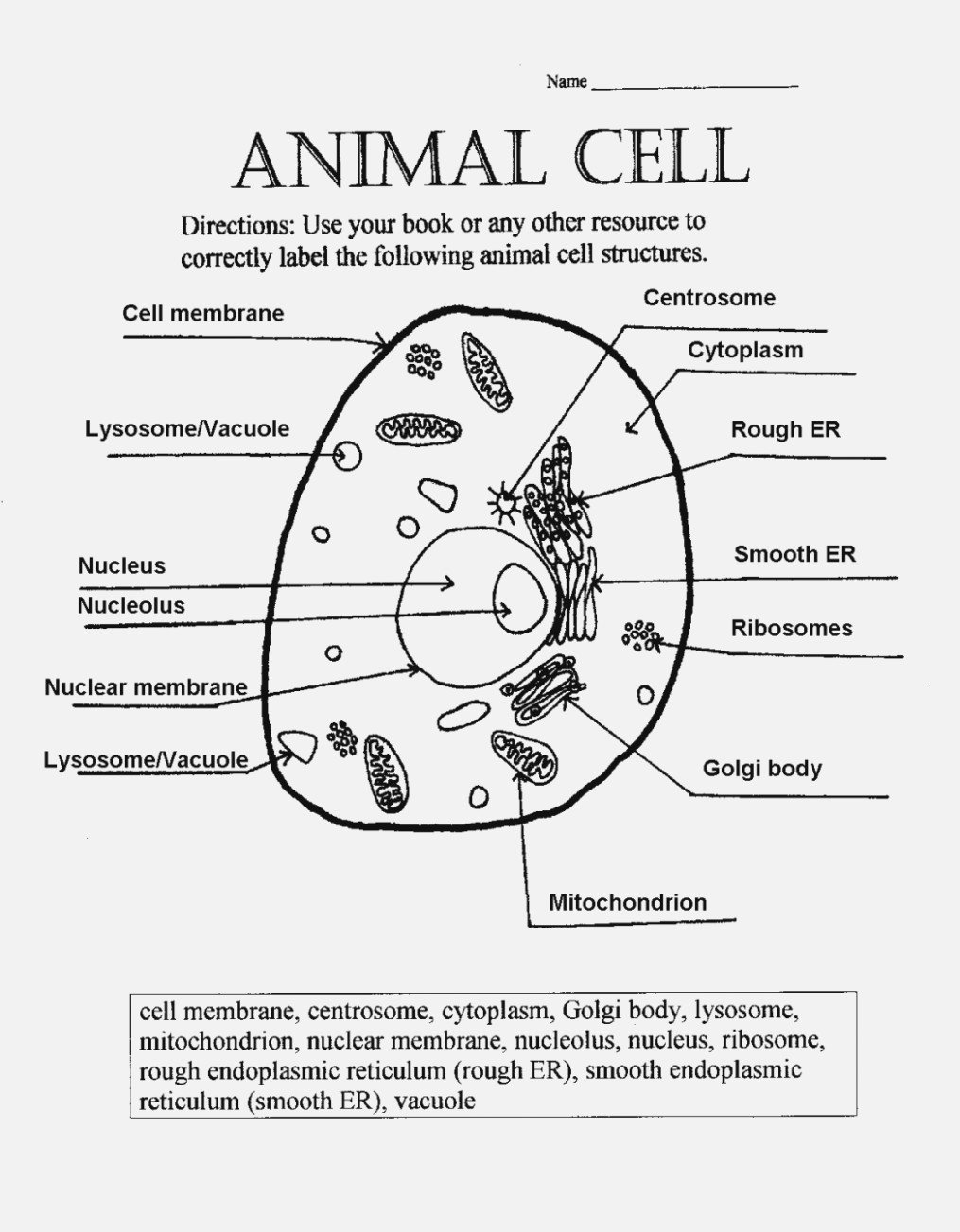 Animal Cell Worksheet Labeling Picture – Scarfoo – Label Information With Regard To Animal Cell Worksheet Answers
