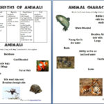 Animals And Their Characteristics Free Worksheet  Homeschool Den As Well As Animal Classification Worksheet