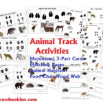 Animals And Their Characteristics Free Worksheet  Homeschool Den Or Free Animal Classification Worksheets