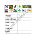 Animals Classification  Esl Worksheetmariainmaculagomez With Regard To Animal Classification Worksheet