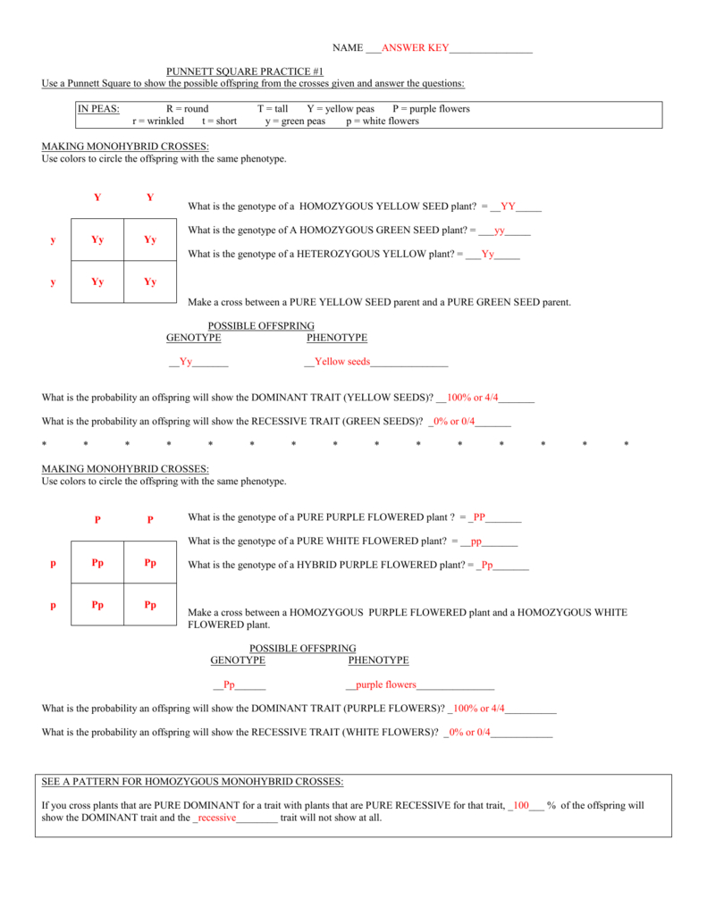 Answer For Monohybrid Cross Problems 2 Worksheet With Answers