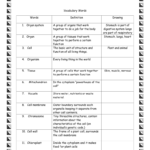 Answer Key Cells Vocabulary Graphic Organizer For Cells Vocabulary Quiz Worksheet Answers