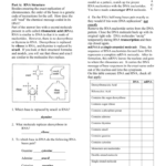 Answer Key Protein Synthesis Paper Lab Intended For Protein Synthesis Worksheet Answer Key Part A
