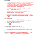 Answers  Biology Junction Inside Nucleic Acids And Protein Synthesis Worksheet Answer Key