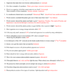 Answers Chapters 8  9 Review – Photosynthesis  Cellular With Regard To Photosynthesis And Cellular Respiration Review Worksheet Answer Key