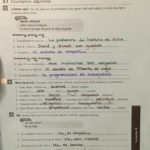 Answers To Spanish 1 Worksheets  Skyline High School Spanish Also Spanish Worksheet Answer Key
