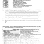 Answers To The Study Guide Intended For Meiosis 1 And Meiosis 2 Worksheet