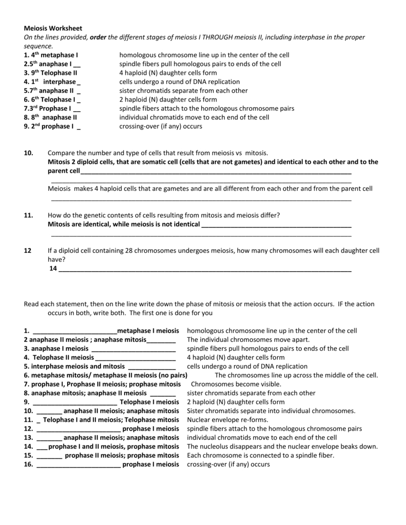 Answers To The Study Guide Intended For Meiosis 1 And Meiosis 2 Worksheet